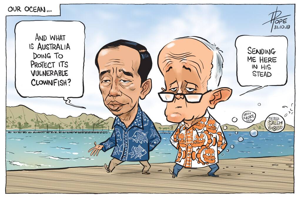 The Canberra Times' editorial cartoon for Wednesday, October 31, 2018. Photo: David Pope