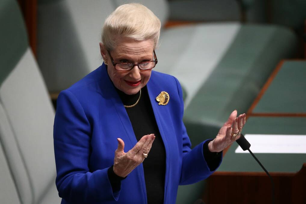 MPs' expenses went under the microscope after former speaker Bronwyn Bishop was embroiled in a scandal in 2015. Photo: Alex Ellinghausen