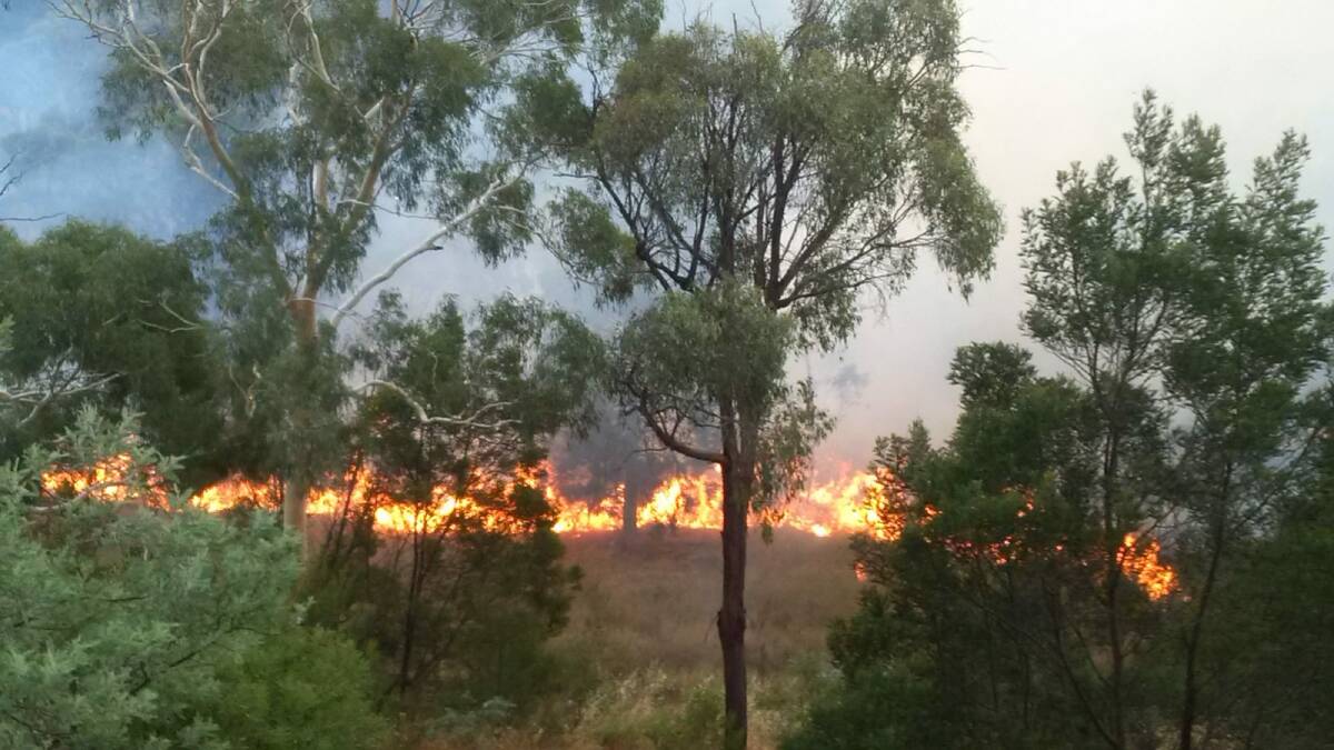 11 units and two helicopters work to extinguished the fire.  Photo: Supplied