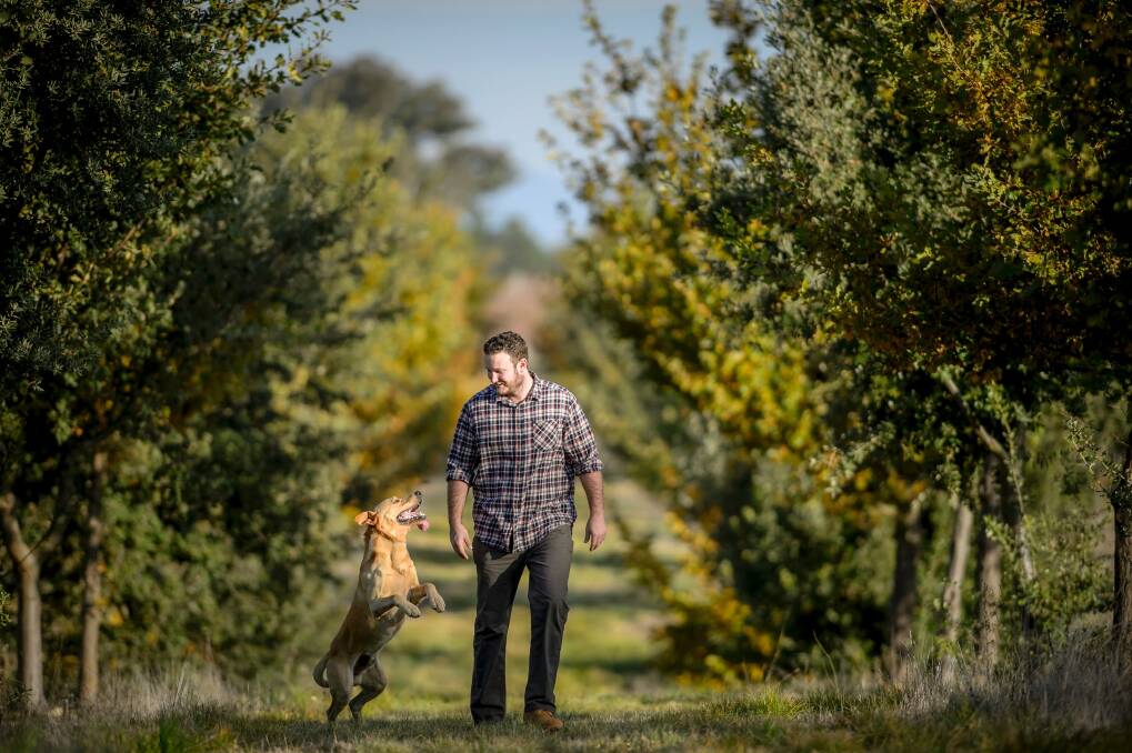 The Truffle Farm owner Jayson Mesman and his truffle dog in training Dingo. Photo: Sitthixay Ditthavong Photo: Sitthixay Ditthavong