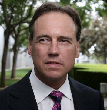 Environment Minister Greg Hunt says he will tie the direct action plan to the budget paper. Photo: Andrew Meares