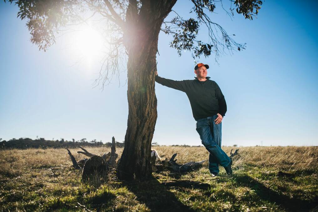 Steve Evans on his NSW property, Cardinia Estate, about 1km from the ACT border where he runs cattle and sheep: Mr Evans, along with other landowners, is upset about a proposed 5km buffer zone stopping development between in NSW on the ACT's border. Photo: Rohan Thomson