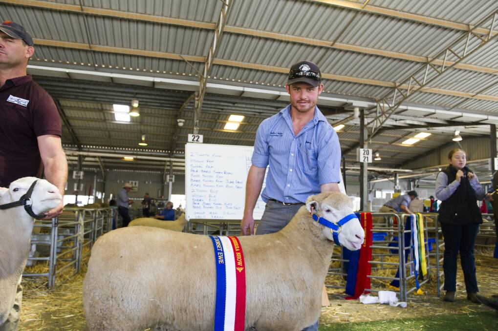 James Scott with his Grand Champion Poll Dorset ewe. Photo: Dion Georgopoulos 