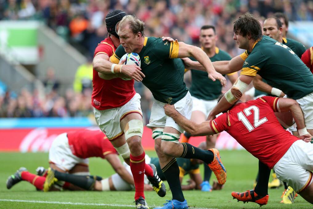 The Brumbies are wary of the threat Springboks champion Schalk Burger will pose. Photo: David Rogers