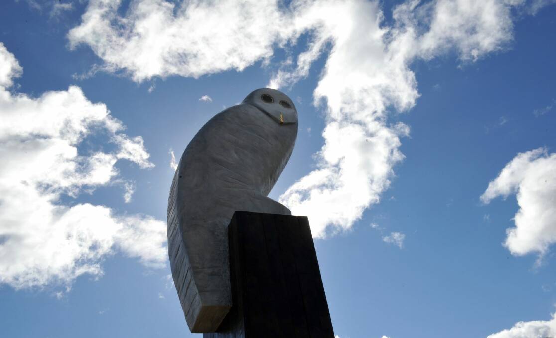 An owl sculpture, by Bruce Armstrong, keeps watch over Belconnen. Photo: Graham Tidy