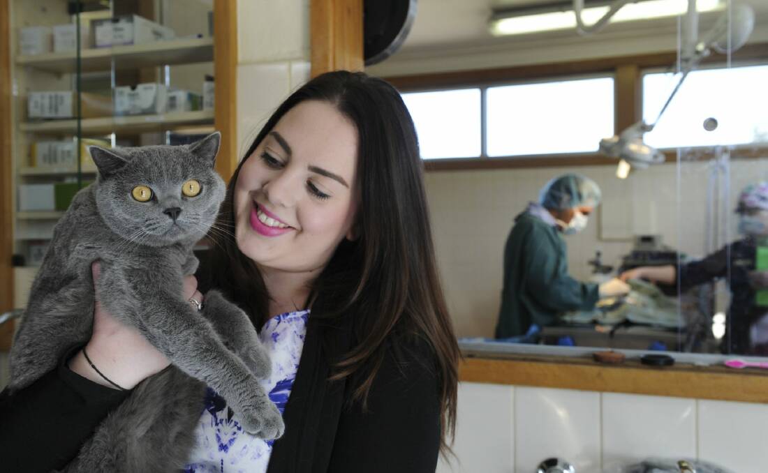 Canberra Cat Fix founder Alex Craig holds Norm, the hospital's resident cat.
 Photo: Graham Tidy
