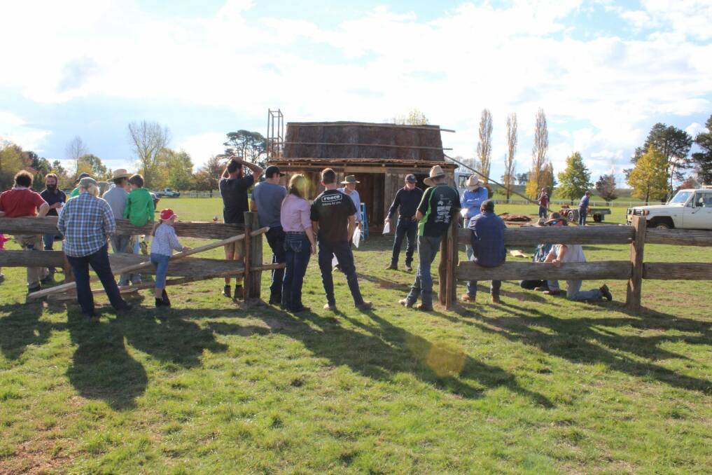 Organisers and participants in the reenactment of the Clarke Gang's capture erect the slab hut built by Terry Hart. Photo: Ainsleigh Sheridan