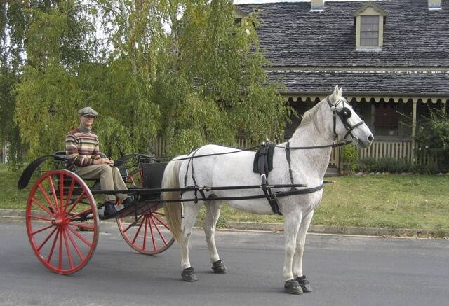 Braidwood restorer Antony Davies with a completed pony sulky behind his horse Tosh. Photo: Supplied