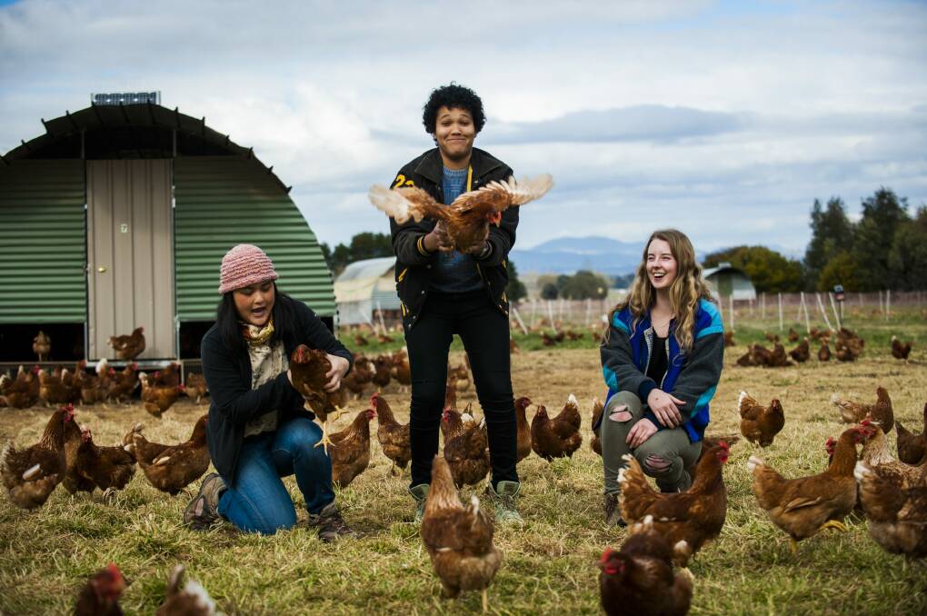 Canberra delegates to the Youth Agricultural Summit, Gabrielle Ho, Victoria Pilbeam and Brittany Dahl, are helping solve the world's food shortage. Photo: Elesa Kurtz Photo: Elesa Kurtz