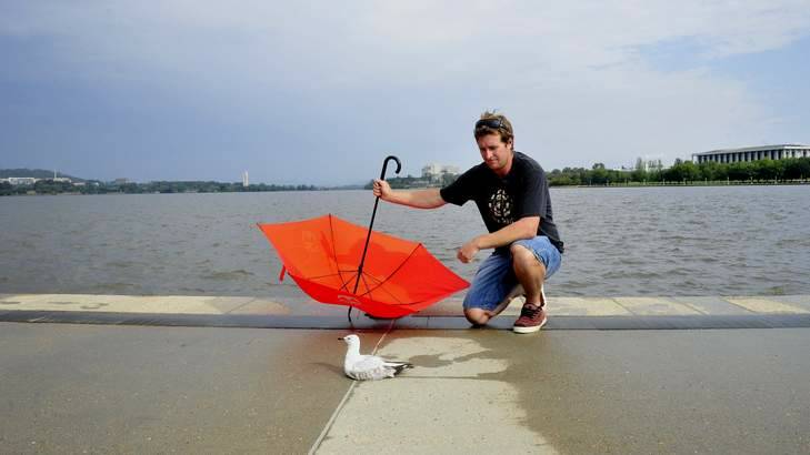 Jason Snell of Narooma rescues a seagull from the shores of  Lake Burley Griffin using his red umbrella. Photo: Melissa Adams MLA