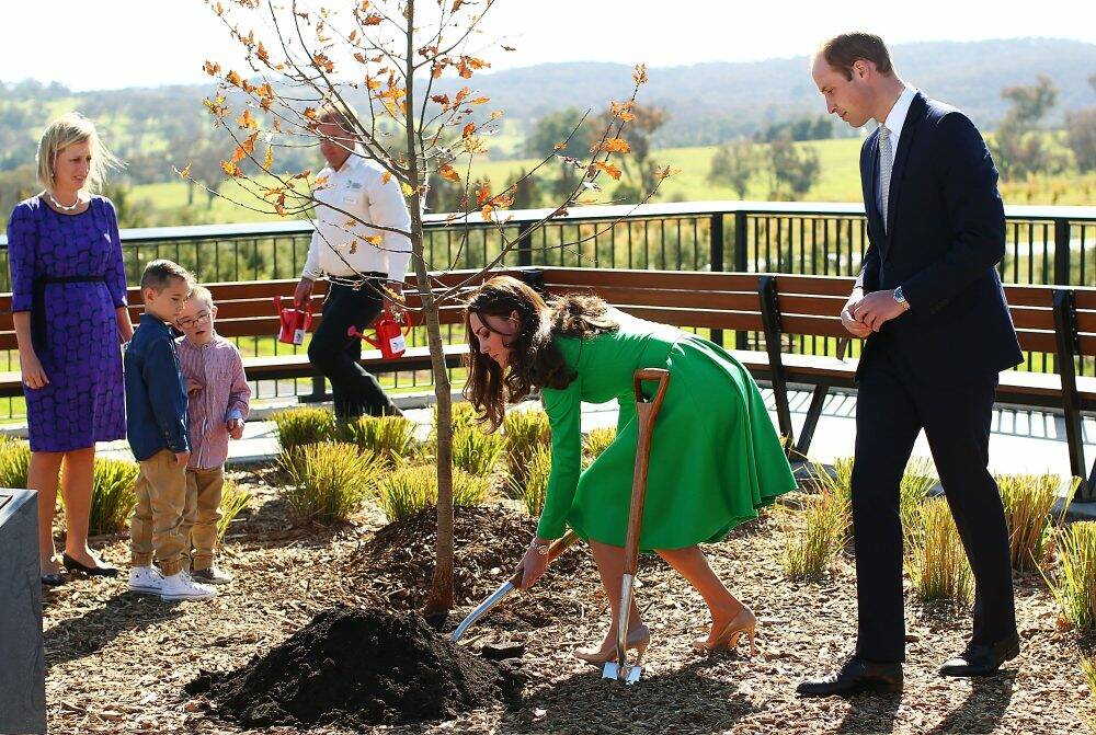Oliver and Sebastian Lye look on as the Duke and Duchess of Cambridge plant a tree at the National Arboretum.  Photo: Mark Nolan