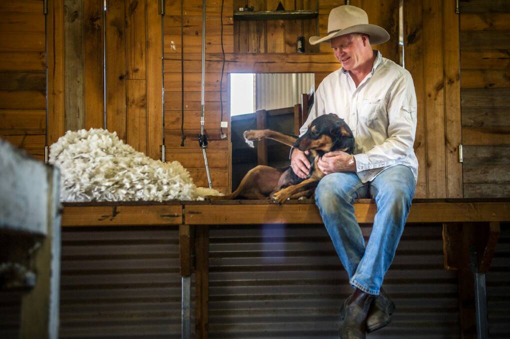 Craig Starr is set to sell more than 2300 kilograms of wool in coming weeks. Photo: karleen minney