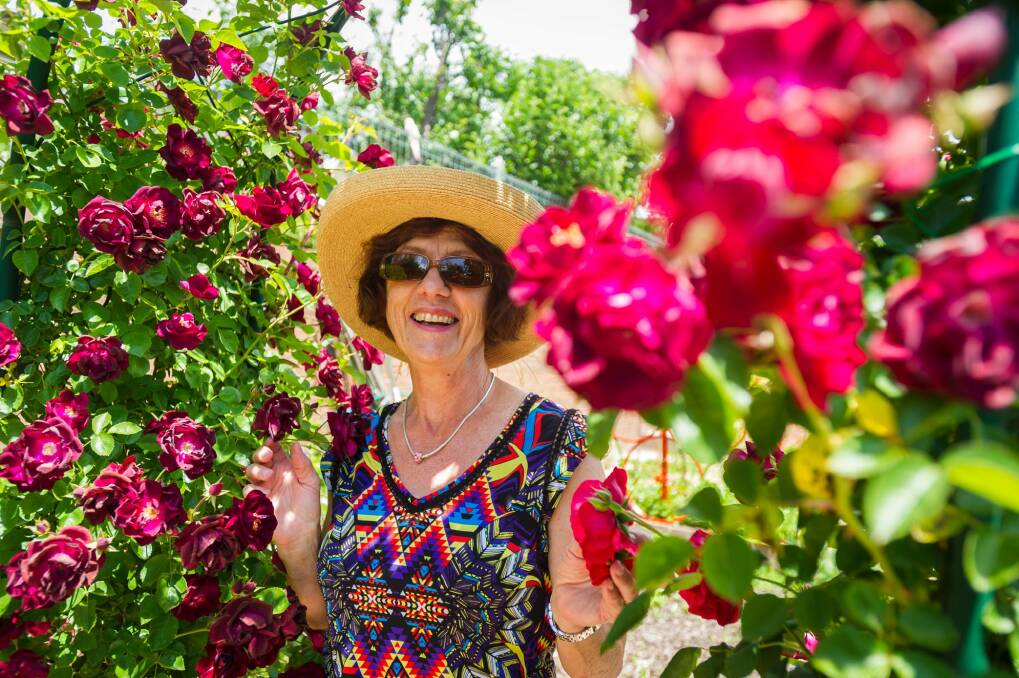Maria White is hosting an open garden to raise money for motor neuron disease research. Photo: Dion Georgopoulos