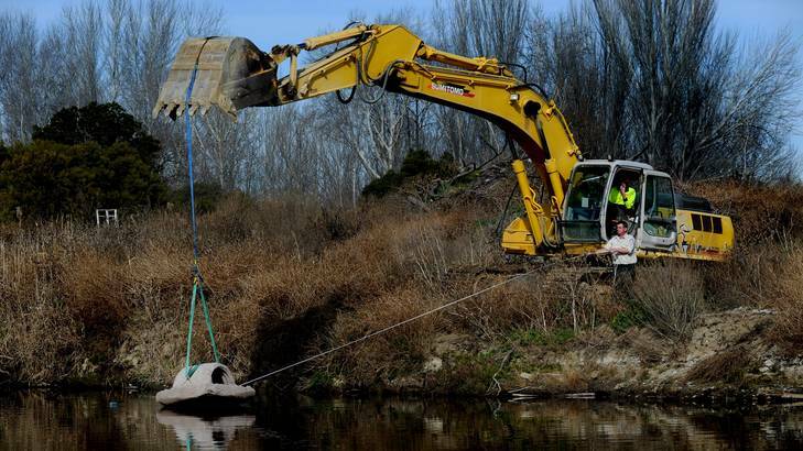 TAMS project officer Andrew Hudson installing one of the 50 artificial fish habitats at the Molonglo River that are designed to help the Murray Cod population. Photo: Melissa Adams