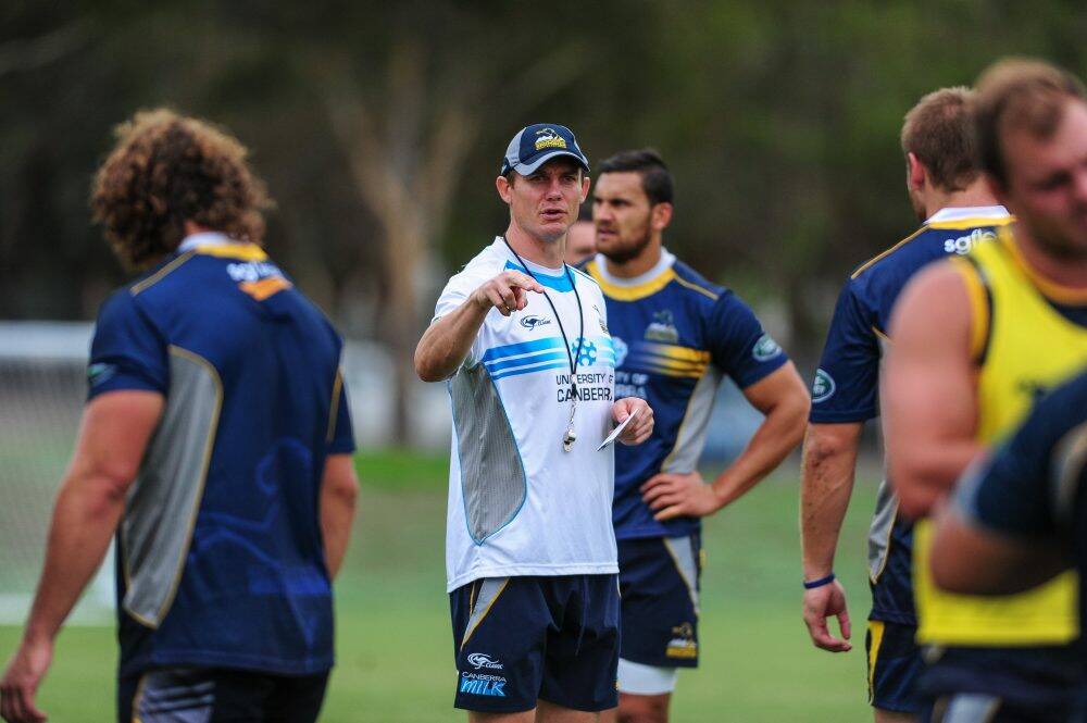 Stephen Larkham will stay with Brumbies despite being linked to the Wallabies job. Photo: Katherine Griffiths