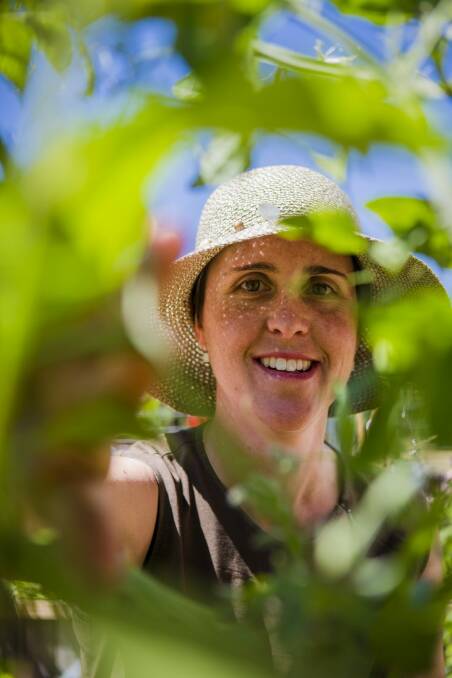Canberra City Farm president Jodie Pipkorn. Photo: Jamila Toderas