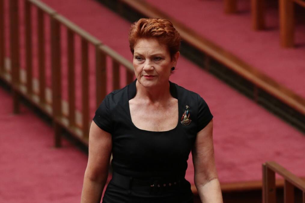 Senator Pauline Hanson. Photo: Andrew Meares