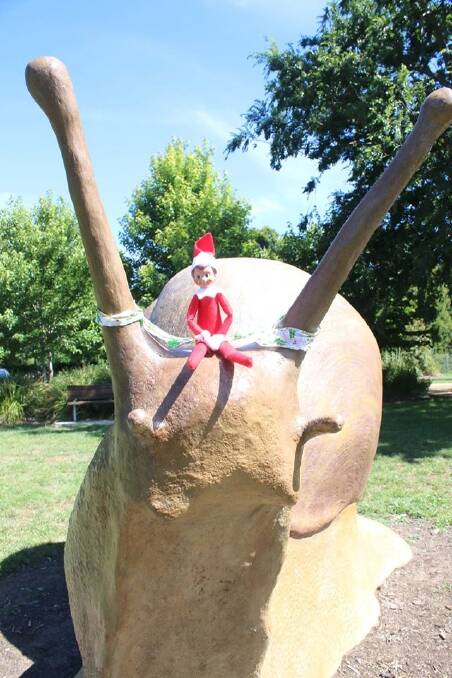 The Elf on the Shelf hitches a ride with Queanbeyan's Morty the snail. Photo: Supplied