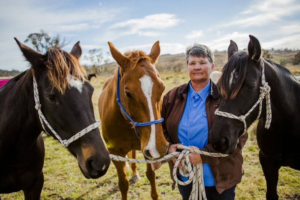 Jane Hedges with her Australian stock horses Starlight, Darby, and Rhythm. They were among a herd of 11 animals which were set loose after vandals smashed a lock at Rose Cottage agistment paddocks. Photo: Jamila Toderas