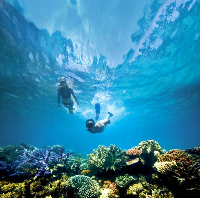 The reef at Lizard Island in 2011.