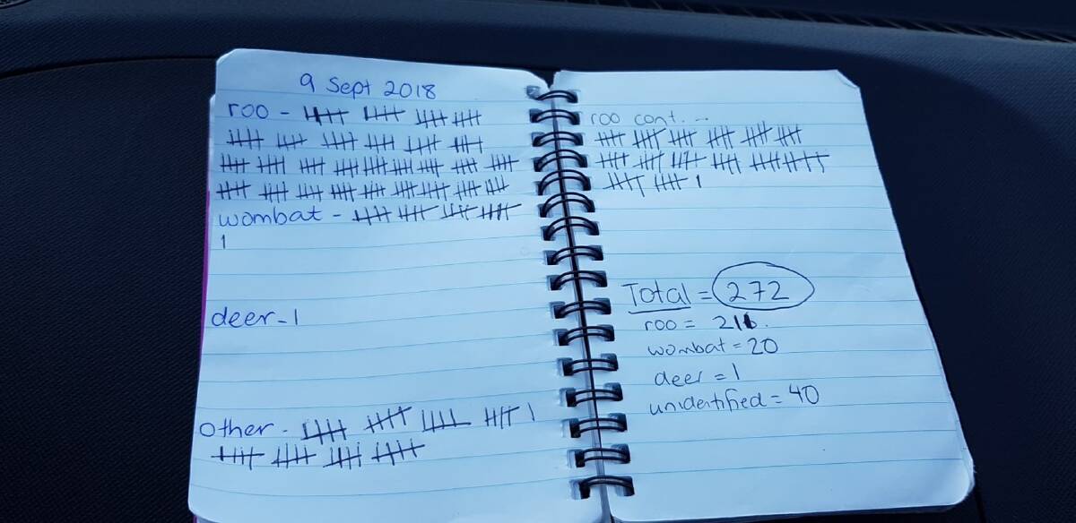 Katie's notebook detailing the roadkill tally along the Monaro Highway. Photo: Katie Carlisle