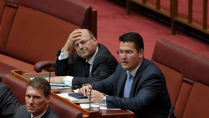 ISSUE COMES TO A HEAD: Arthur Sinodinos (left) next to ACT Liberal senator Zed Seselja on Wednesday. Photo: Andrew Meares