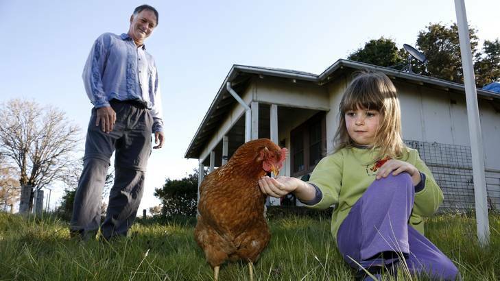 Andrew Collins watches daughter Grace Rutherford-Collins feed Blondie the chicken in front of their Coppins Crossing home, they are having to move due to the development in the Molonglo Valley. Photo: Jeffrey Chan