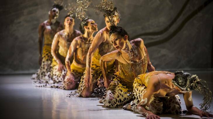 Dancers perform the Spinifex scene from Terrain, a performance that reflects the experiences of the Arabunna people. Photo: Rohan Thomson