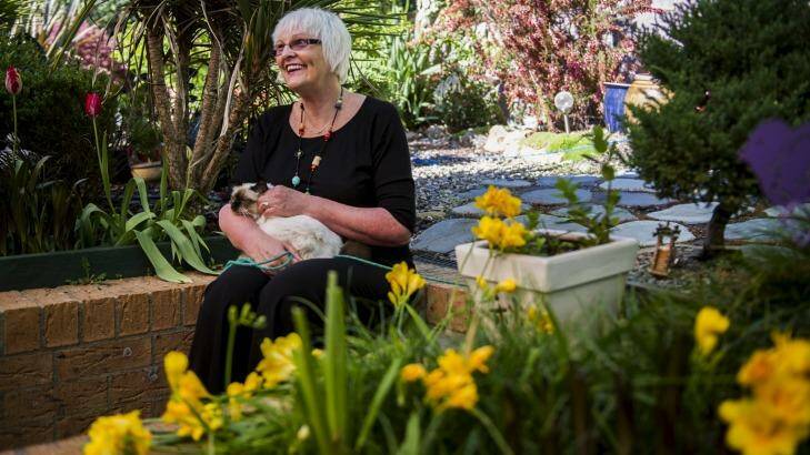 Lyn Goldsworthy only lets her cats into the garden on a leash to protect native birds. Photo: Rohan Thomson,