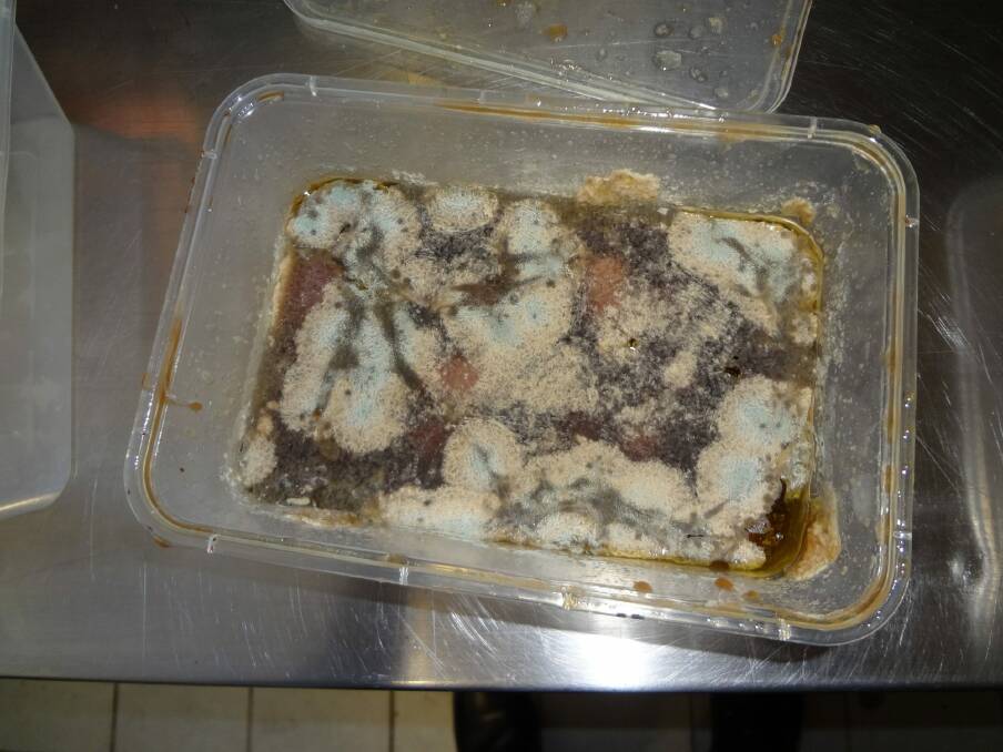 Mouldy food stored in a cool room. Photo: Supplied