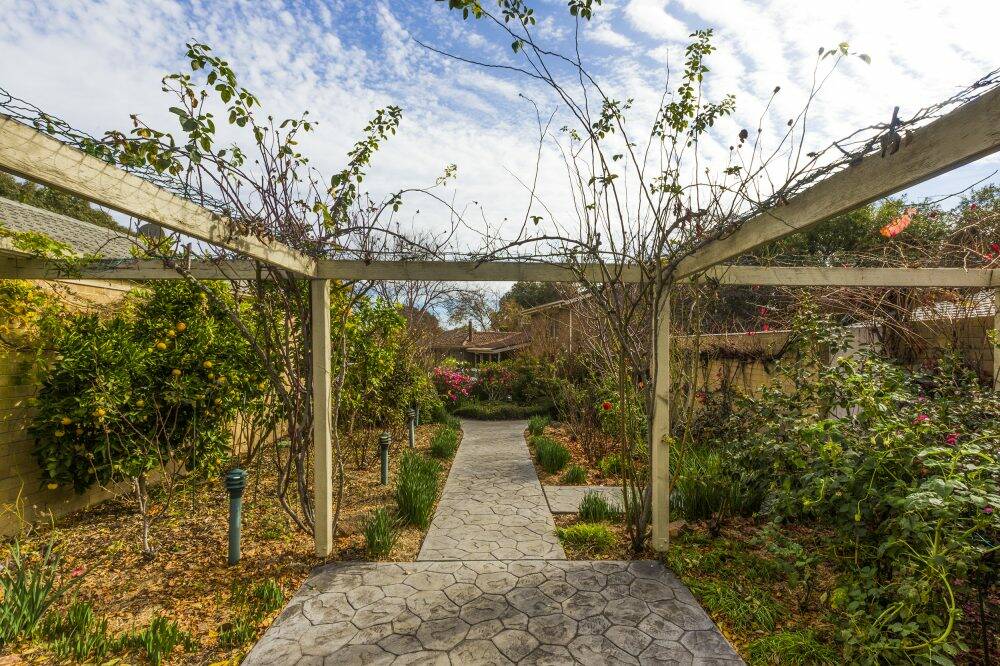 Climbing plants have been used to create shade and design interest. Photo: supplied