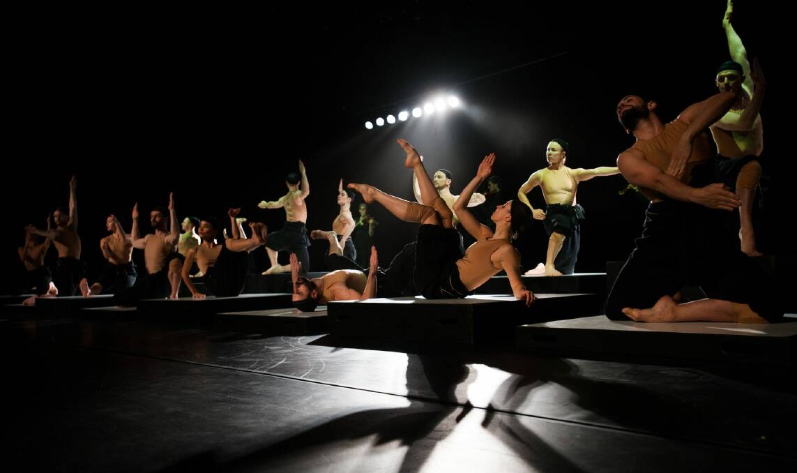 Sydney Dance Company returns to The Canberra Theatre Centre with <i>CounterMove</I>, a two-part program including Alexander Ekman's <i>Cacti</I>. Photo: Elesa Kurtz