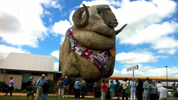 The Knitters Guild of NSW have knitted a 30m long woolen scarf for the big merino in Goulburn. Photo: Brittany Murphy
