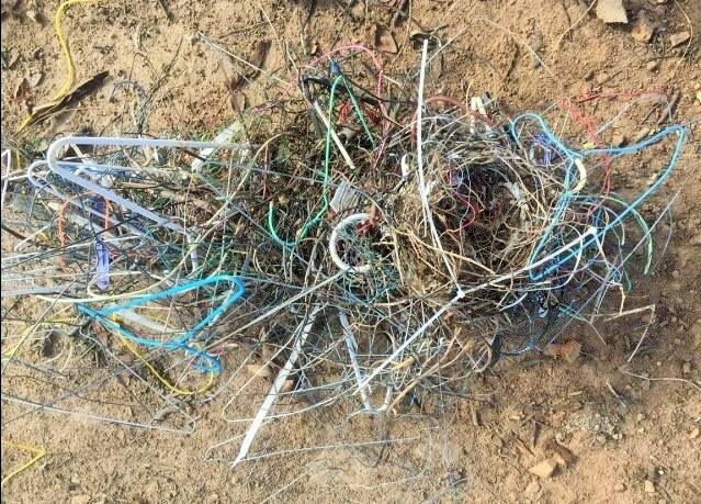 Bird nest in Red Hill made predominantly of coat hangers.  Photo: Greg Hill