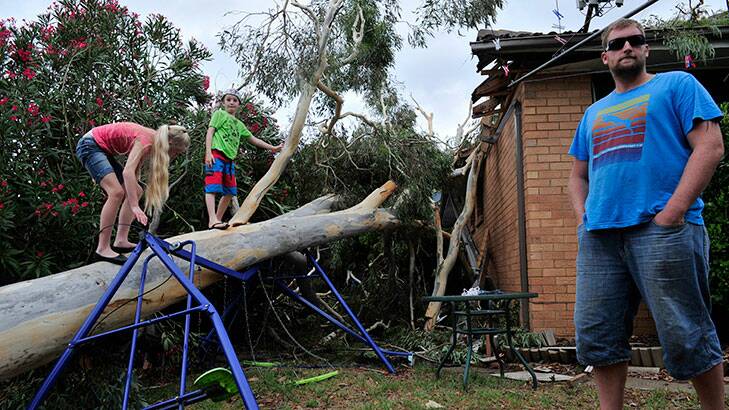 (l-r) Shaelagh, 10, and Bailey Sutherland, 8 and dogs Asher and Monty and father Greg Sutherland with the tree that was pushed over by destructive storms in Holder. Photo: Jay Cronan
