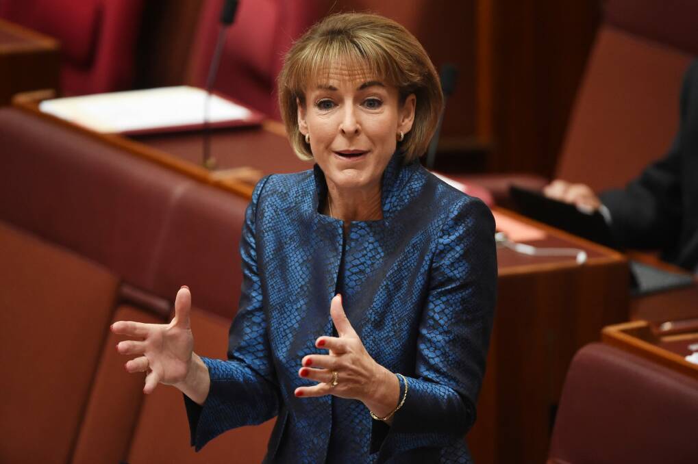 Minister for women Michaelia Cash said public servants have enough access to leave if they are victims of abuse in the home. Photo: Supplied