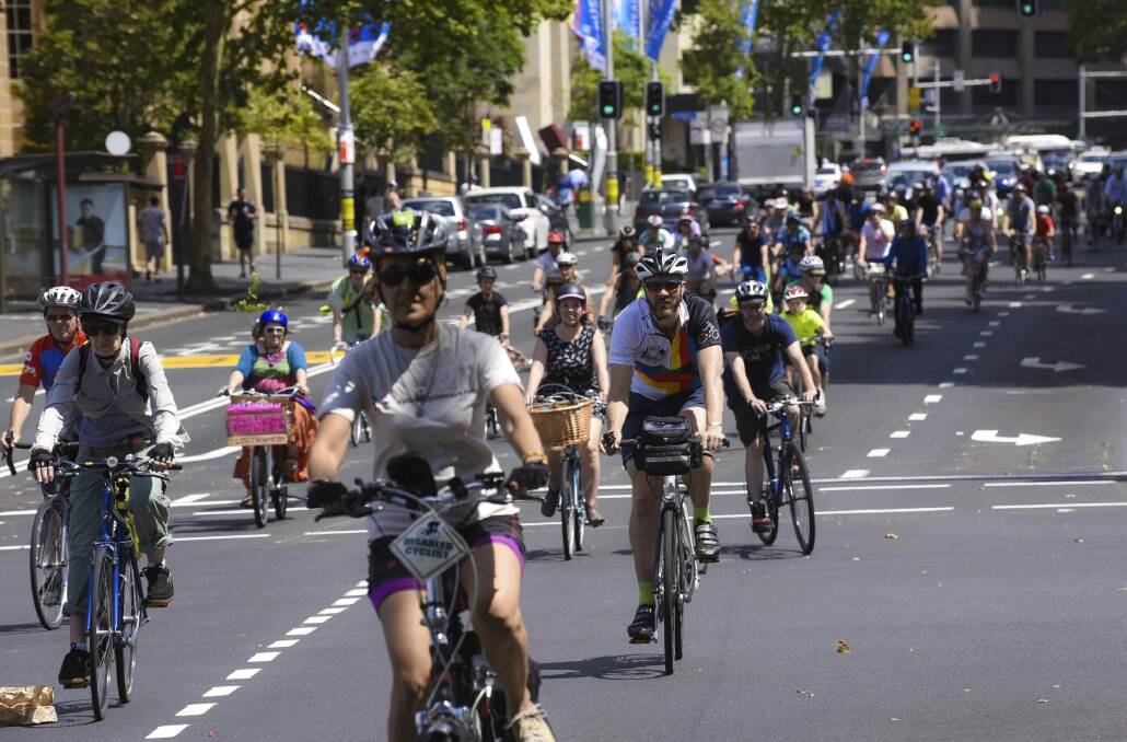 Political correctness is blamed for cyclists having to wear helmets, but trauma surgeons say the hard hats can prevent or lessen injury and save lives. Photo: Chris Pearce