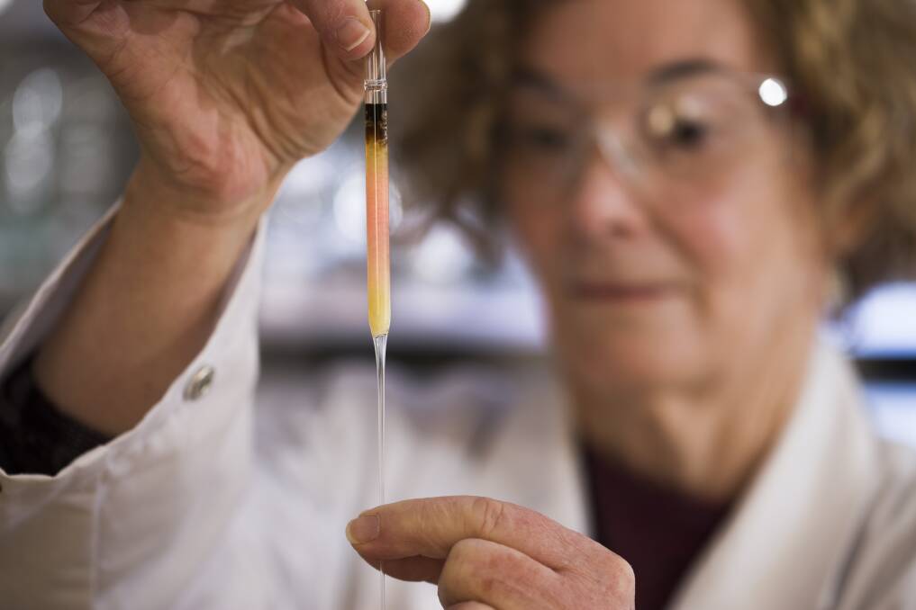 Australian National University biogeochemistry lab manager Janet Hope holds a vial of pink-coloured porphyrins representing the oldest intact pigments in the world. Photo: Australian National University