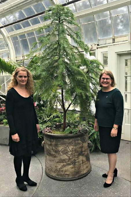 Australian High Commissioner H.E. Natasha Smith meeting with the Canadian Governor General H.E. Julie Payette to inspect the Wollemi. Photo: Supplied