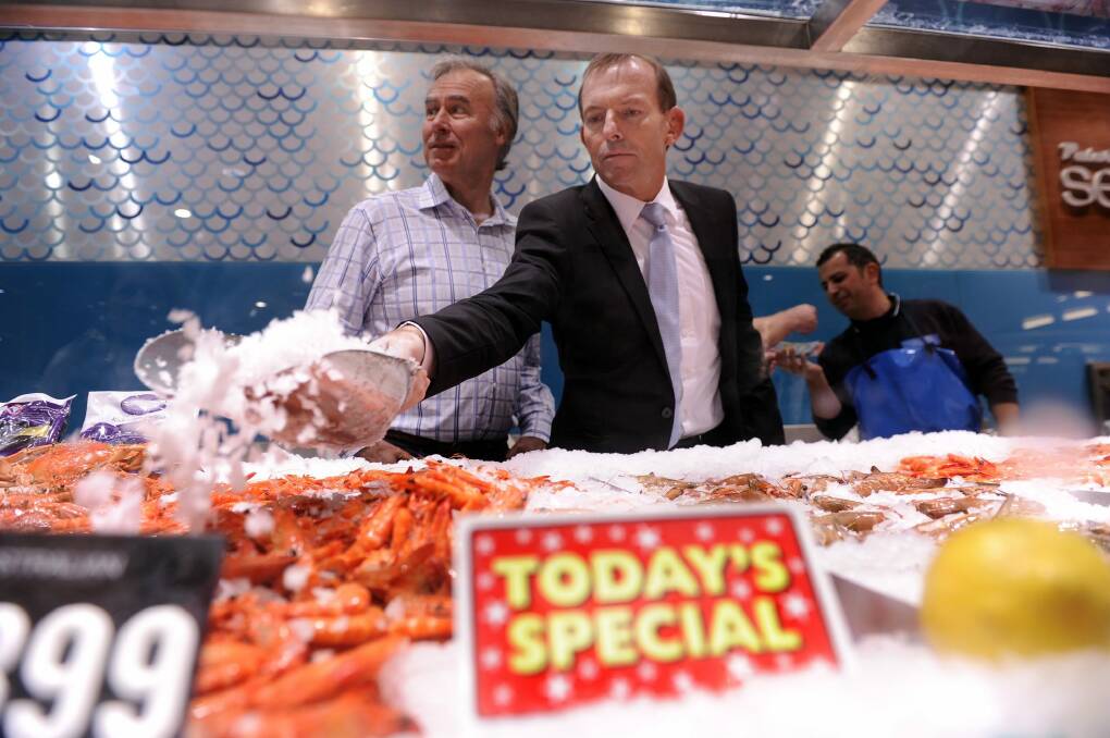 John Alexander on the campaign trail with then federal opposition leader Tony Abbott. Photo: Adam Hollingworth AAH