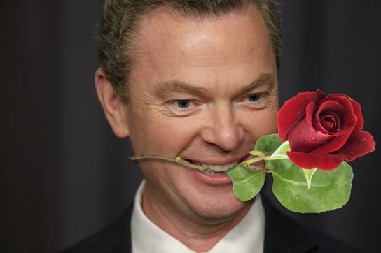 Digitally adjusted Education Minister Christopher Pyne makes his rosy pitch. Photo:  