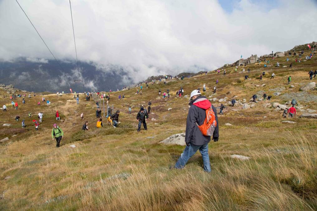 Last year's Easter egg hunt on Mount Kosciuszko when eggs worth $10,000 were up for grabs. For easter egg guide Photo: Thredbo Resort