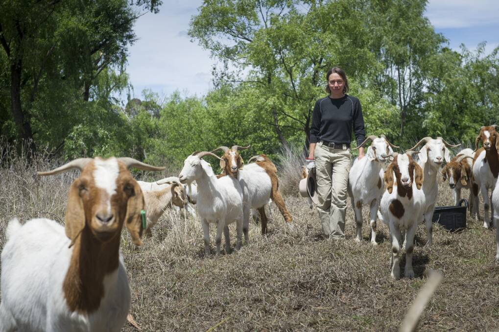 Elisabeth Larsen kidding around with the goats. Photo: Elesa Kurtz