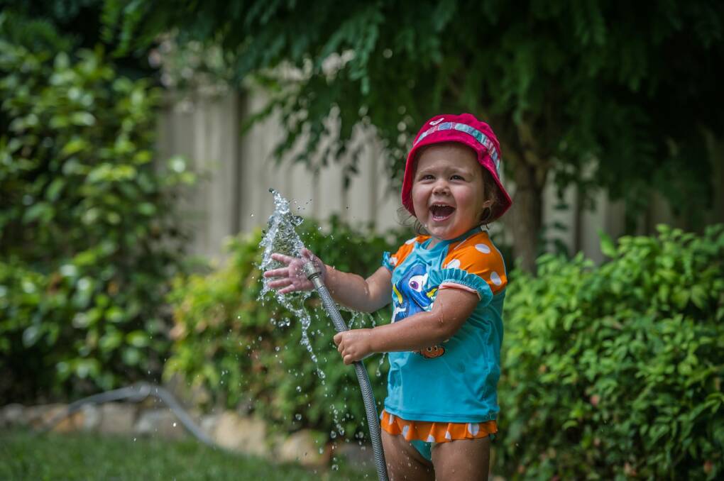 Mae Love, 22 months, cools down in her family's Latham backyard on Sunday.  Photo: Karleen Minney