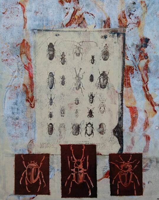 Jo Hollier, <i>Beetlemania</i>, collograph mixed media,(detail) in <i>Collection and Obsession</i>. Form Studio and Gallery. Photo: Supplied