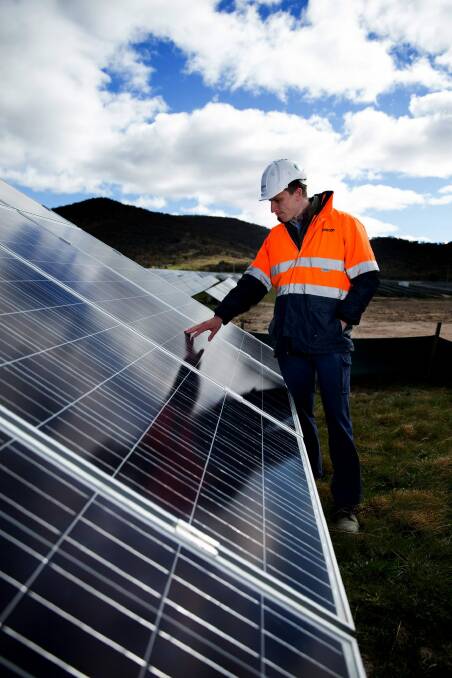 Solar panels at the Royalla plant in the ACT. Photo: Matt Bedford