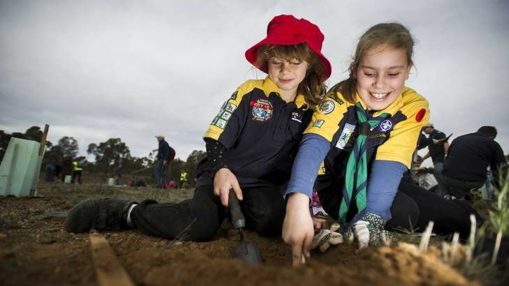 Cub Scouts Hannah Puschak, 8, and Jess Preston, 10, plant trees at Mt Majura for national plant a tree day on Sunday. Photo: Rohan Thomson