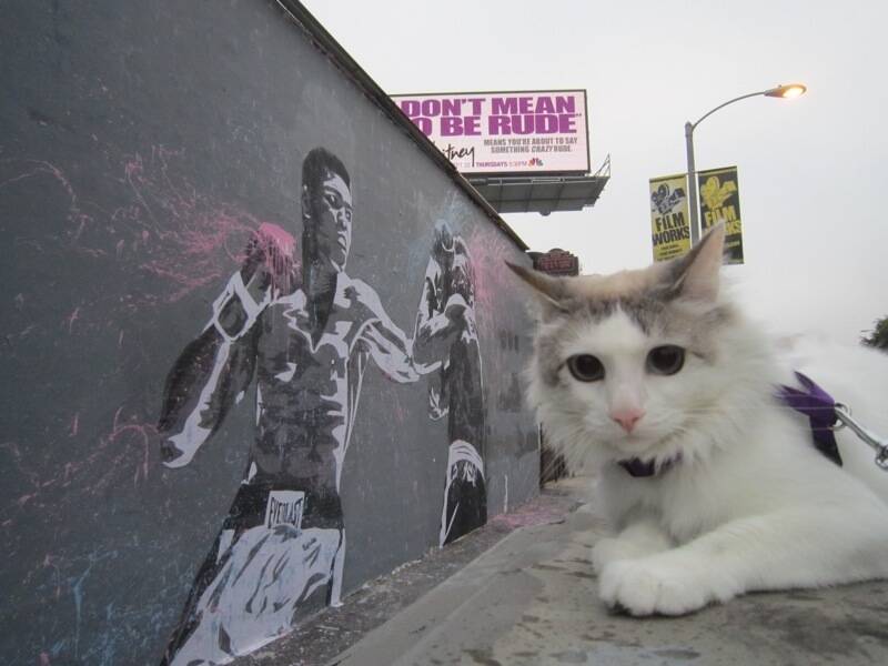 Muhammad Ali street art by Mr Brainwash, Los Angeles. Photo: Mr Brainwash