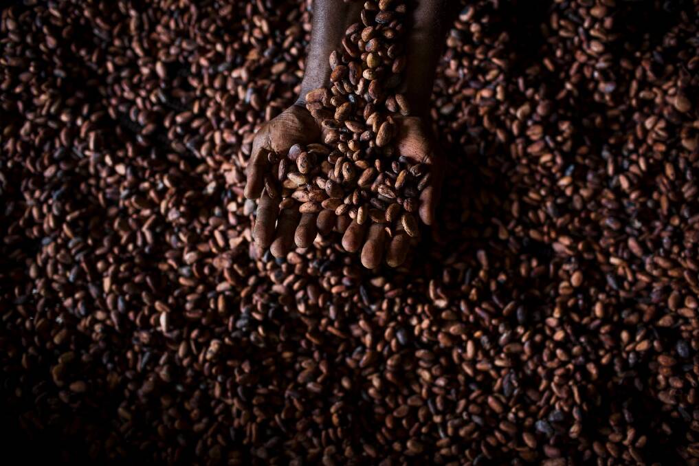 Jasper + Myrtle chocolates in Canberra is using cocoa beans from Bougainville Photo: Conor Ashleigh