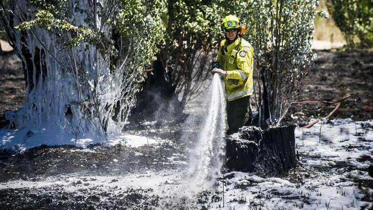A firefighter hoses the ground in an attempt to prevent further fires from igniting. Photo: Rohan Thomson